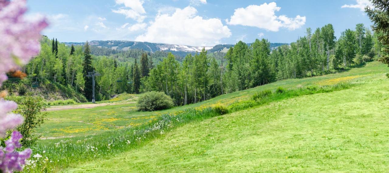 Laurelwood Condominiums 110 Snowmass Village Buitenkant foto